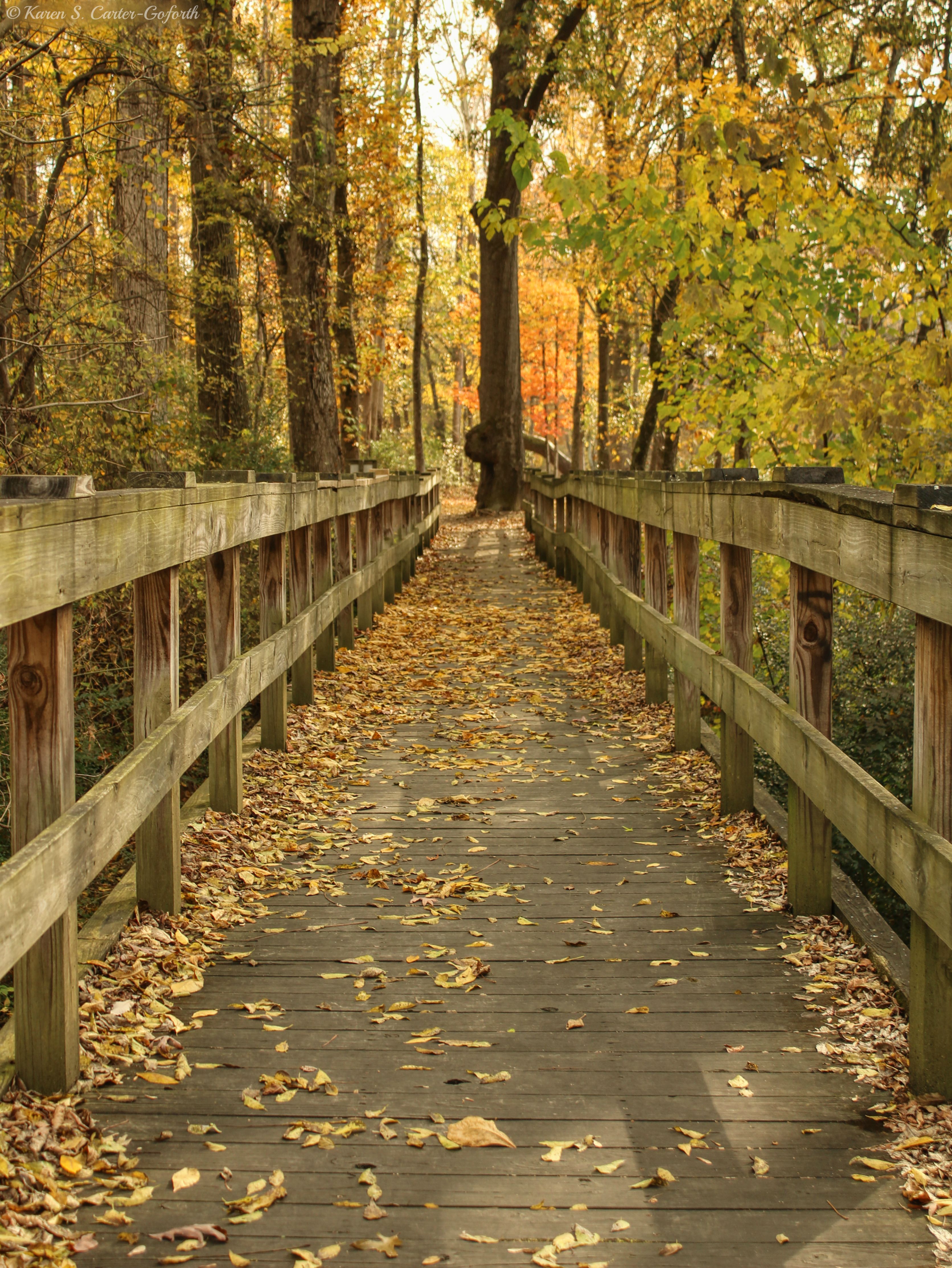 ringold nature trail